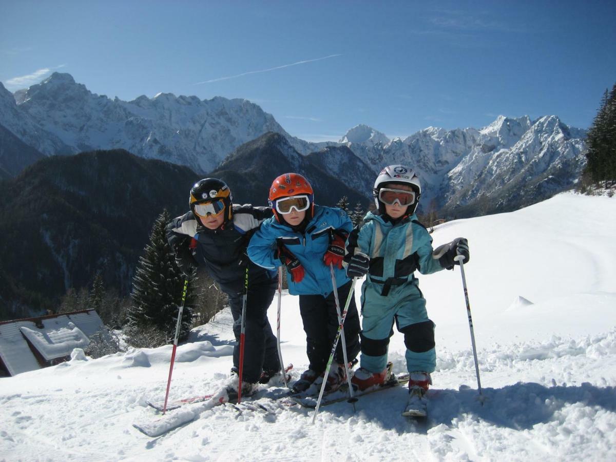 Holiday Chalet "Alpine Dreams" With Private Wellness Солчава Экстерьер фото